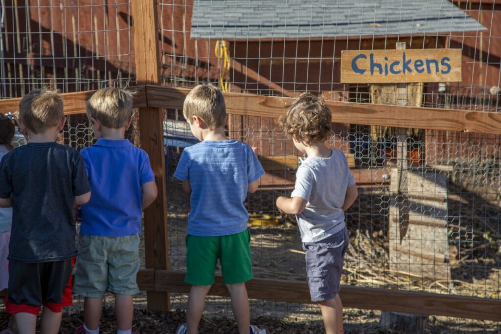 Childrens