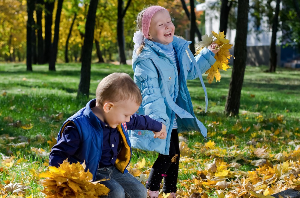Fall Leaves 3